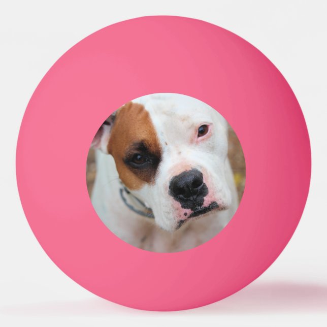 Boop Tischtennisball (Vorderseite)