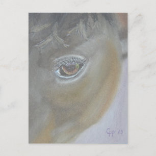 Boost My Ego - Horse Painting Postkarte
