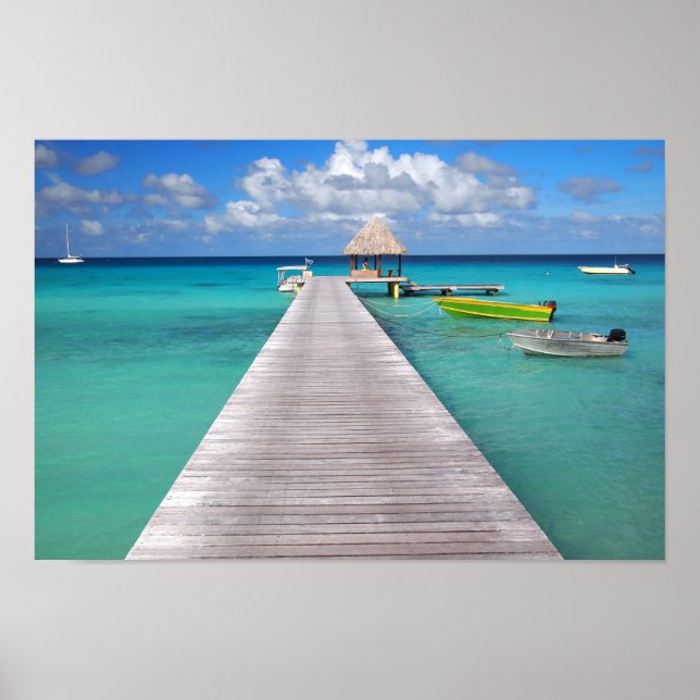 Boote an einer Anlegestelle im Pazifik Poster (Vorne)