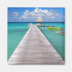 Boote an einer Anlegestelle im pazifischen Magnet