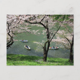 Boote auf Chidorigafuchi: Tokio, Japan Postkarte