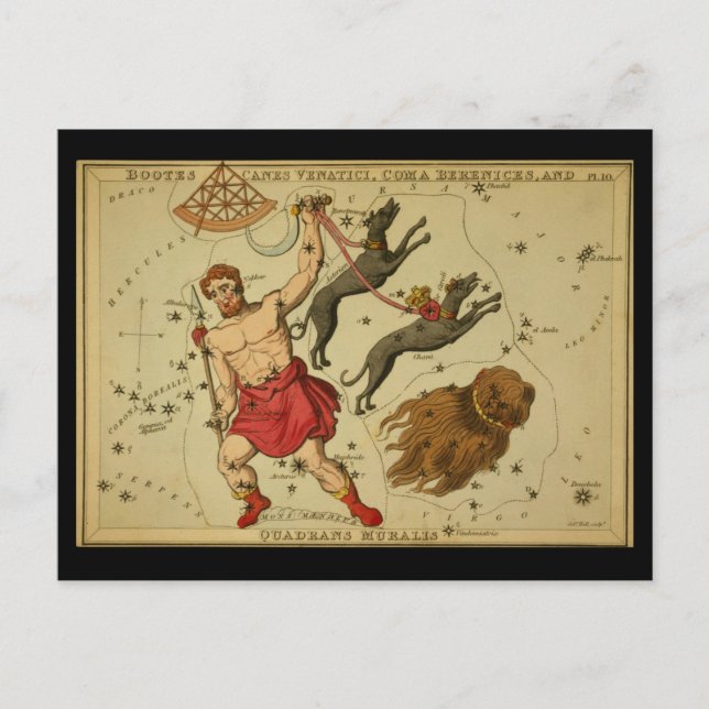 Boote, Canes Venatici, Coma Berenices, Q. Muralis Postkarte (Vorderseite)