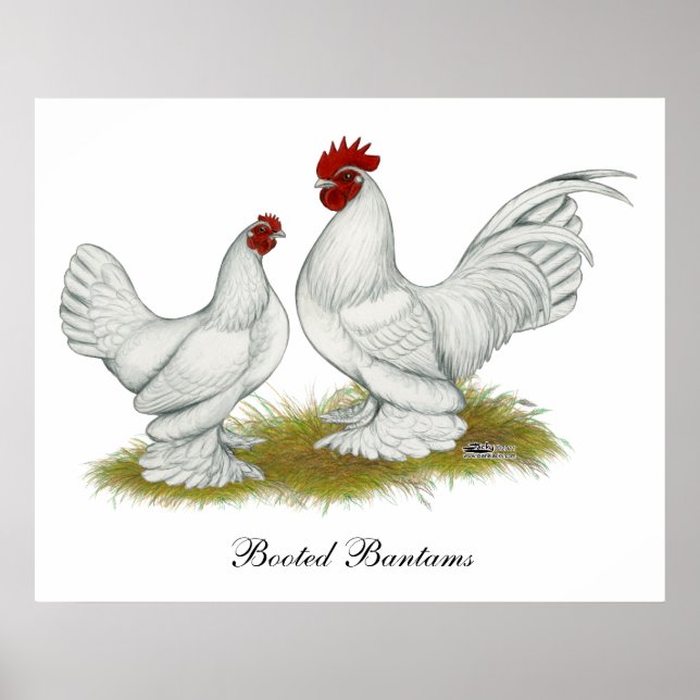 Booted Bantams Poster (Vorne)