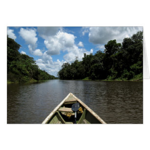 Bootfahrt hinunter den Amazonas