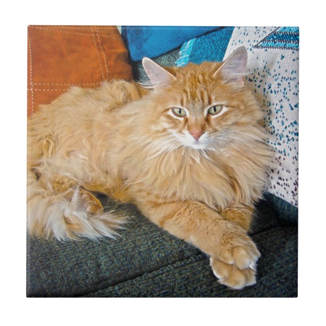 Boppy Fliese (Vorderseite)