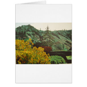 Boquete, Malerei Panama#3