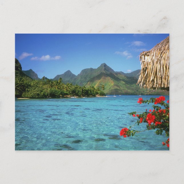 Bora Bora Island, Französisch-Polynesien Postkarte (Vorderseite)