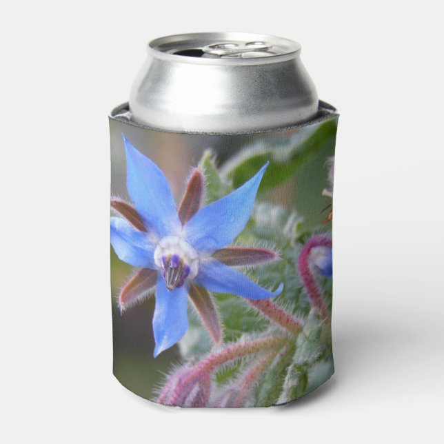 Borage Star Blume Dosenkühler (Kanne Vorderseite)