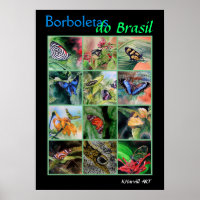 Borboletas do Brasil Poster