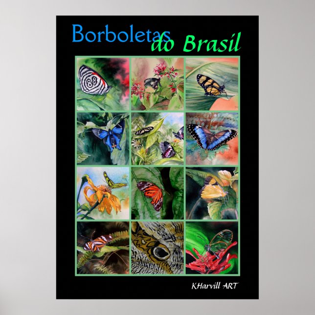Borboletas do Brasil Poster (Vorne)