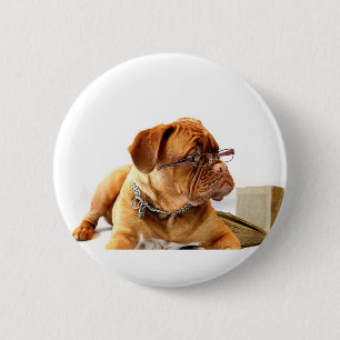 Bordeaux Mastiff, französischer Mastiff Bordeauxdo Button