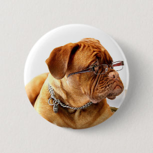 Bordeaux Mastiff, französischer Mastiff Bordeauxdo Button