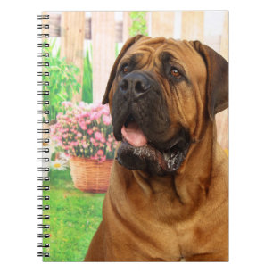 Bordeaux Mastiff Notizblock