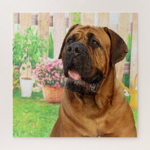 Bordeaux Mastiff Puzzle