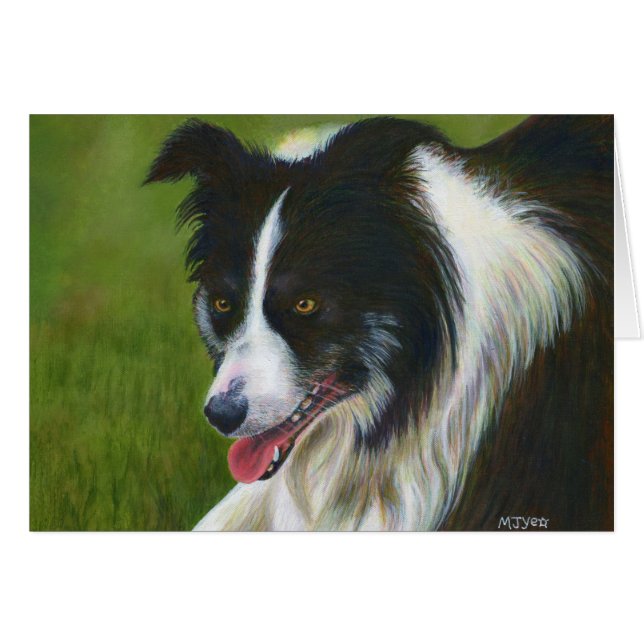 Border-Collie (Vorderseite (Horizontal))