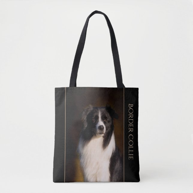 Border-Collie (Vorderseite)