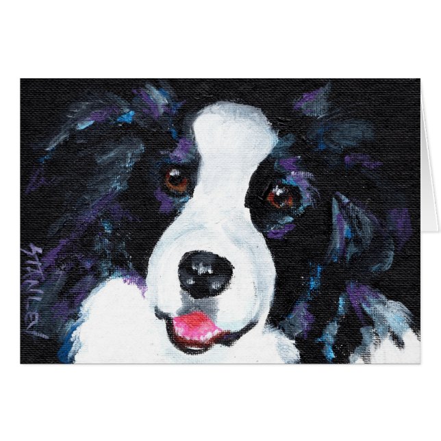 Border-Collie (Vorderseite (Horizontal))