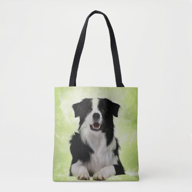 Border-Collie (Vorderseite)