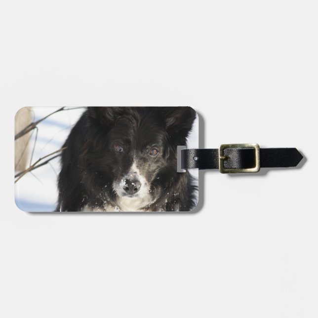 border-collie-8.jpg gepäckanhänger (Vorderseite horizontal)