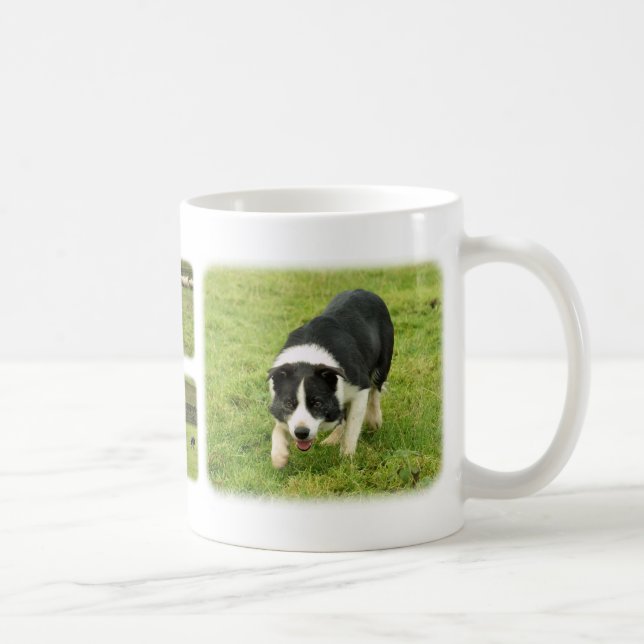 Border-Collie 8M054D-05, Border-Collie 8M052D-0… Tasse (Rechts)