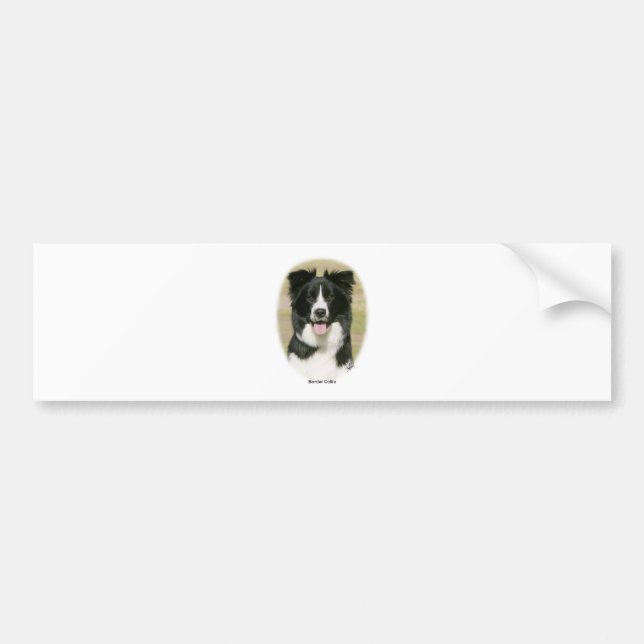 Border-Collie 9Y411D-009 Autoaufkleber (Vorne)