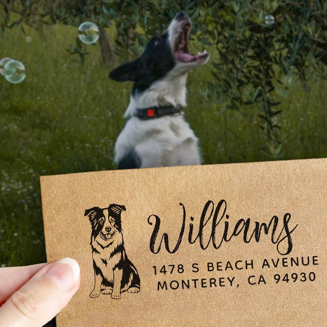 Border Collie Absenderadresse Hundebesitzer Gummistempel (Von Creator hochgeladen)