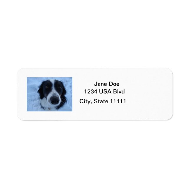 Border Collie Address Labels (Vorne)