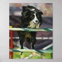 Border Collie Agility Dog Portrait
