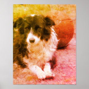 Border Collie and Ball Dog Art Poster