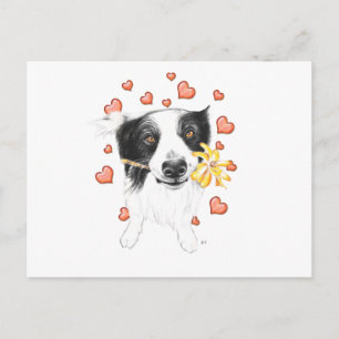 Border Collie and Hearts Postkarte