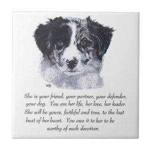 Border Collie Andenken Fliese