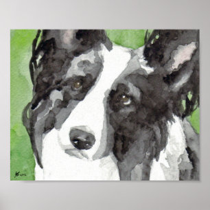 Border Collie Aquarell Poster