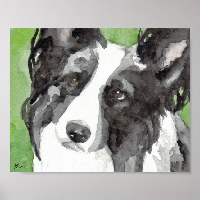 Border Collie Aquarell Poster (Vorne)