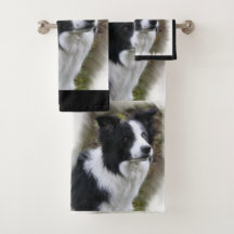 Border Collie Art