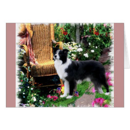 Border Collie Art Geschenke