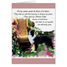 Border Collie Art Geschenke