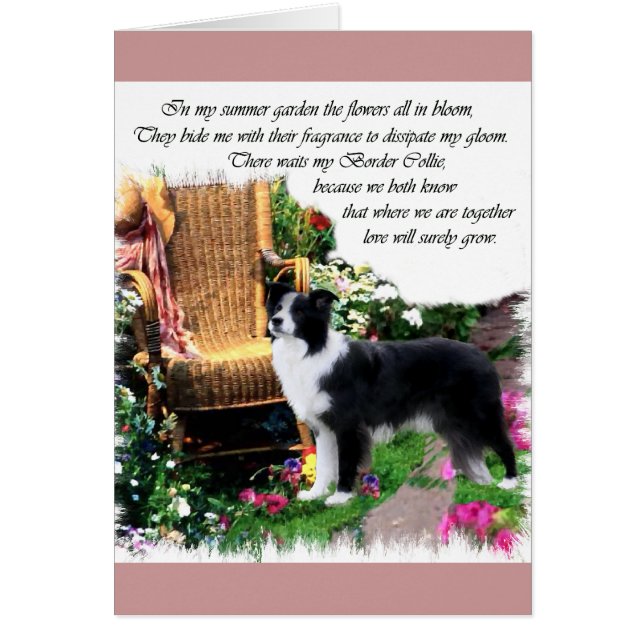 Border Collie Art Geschenke (Vorne)