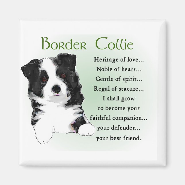 Border Collie Art Geschenke Magnet (Vorne)
