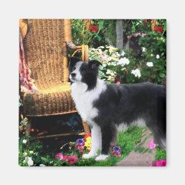 Border Collie Art Geschenke Magnet