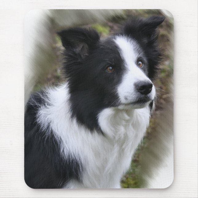 Border Collie Art Geschenke Mousepad (Vorne)