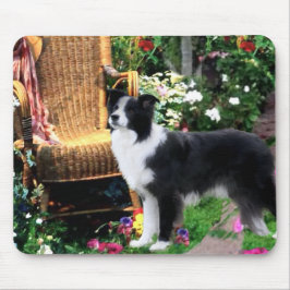 Border Collie Art Geschenke Mousepad