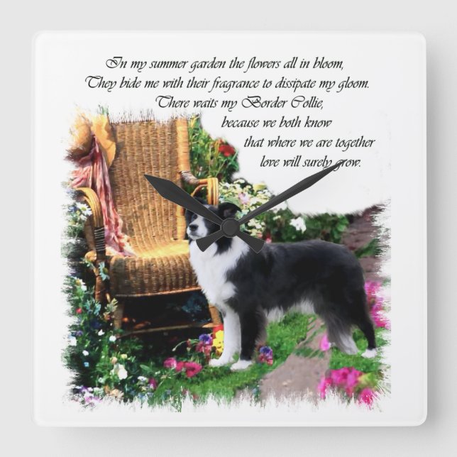 Border Collie Art Geschenke Quadratische Wanduhr (Vorderseite)