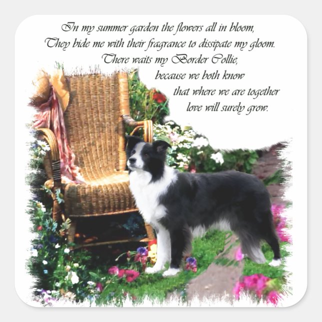 Border Collie Art Geschenke Quadratischer Aufkleber (Vorderseite)