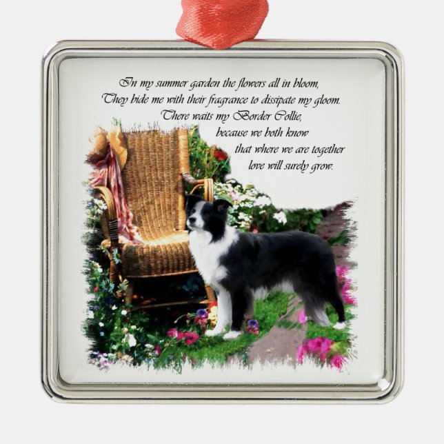 Border Collie Art Geschenke Silbernes Ornament (Vorne)