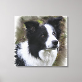 Border Collie Art Leinwanddruck