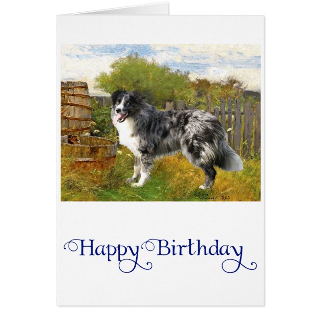Border Collie auf dem Bauernhof (Vorne)