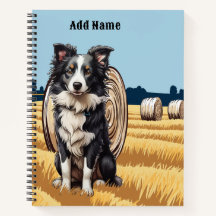 Border Collie auf dem Bauernhof