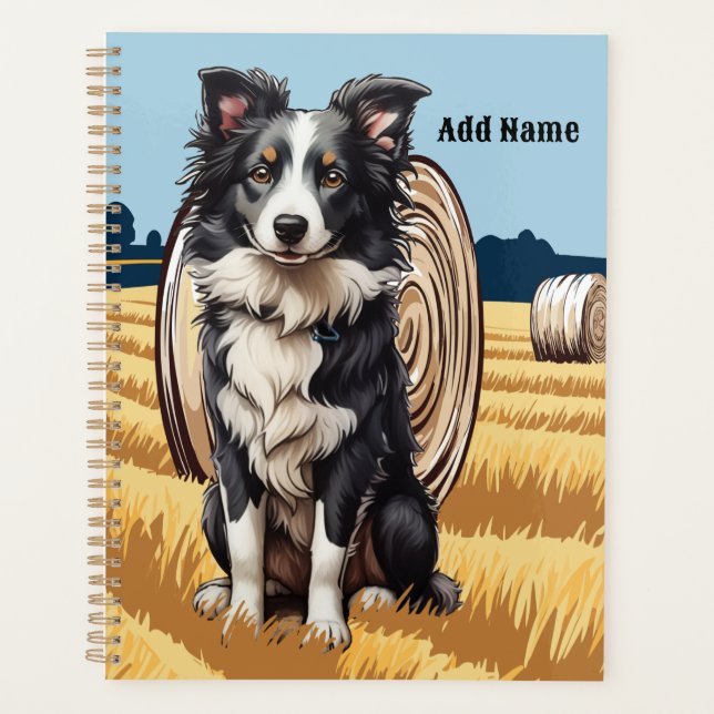 Border Collie auf dem Bauernhof Planer (Vorderseite)