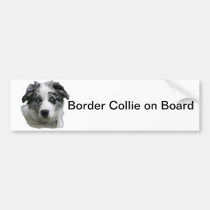 Border-Collie Autoaufkleber