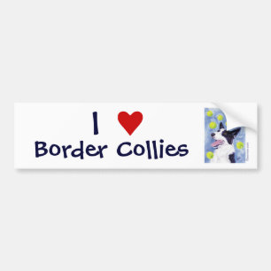 Border Collie Autoaufkleber